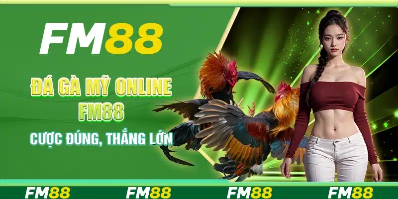 Đá gà Mỹ online FM88 - Cược đúng, thắng lớn