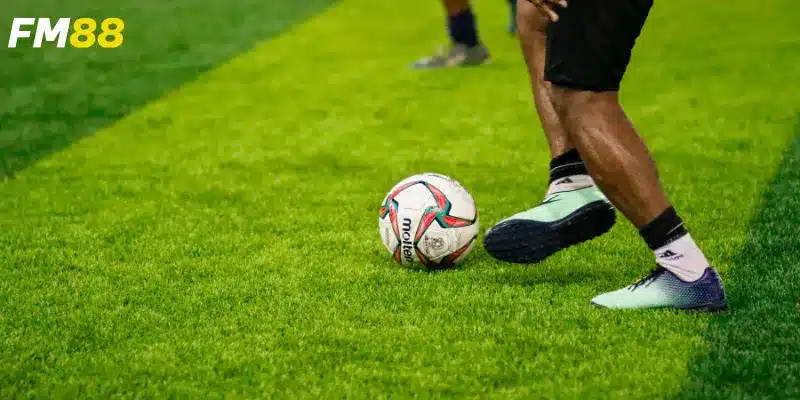 Phân tích kết quả và dự đoán chính xác