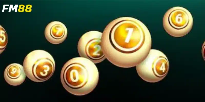 Xây dựng cách bắt bạch thủ lô hiệu quả