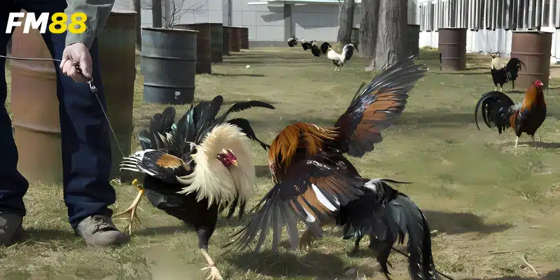 Theo dõi sự thay đổi và cập nhật chiến thuật