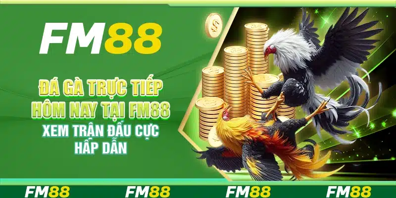Đá Gà Trực Tiếp Hôm Nay Tại Fm88 – Xem Trận Đấu Cực Hấp Dẫn