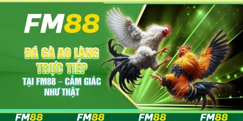 Đá Gà Ao Làng Trực Tiếp Tại Fm88 – Cảm Giác Như Thật