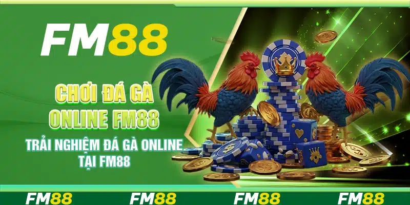 Chơi Đá Gà Online Fm88 - Trải Nghiệm Cược An Toàn Mỗi Ngày