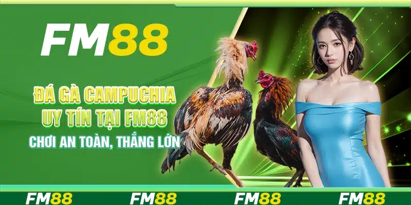 Đá Gà Campuchia Uy Tín tại FM88 – Chơi An Toàn, Thắng Lớn