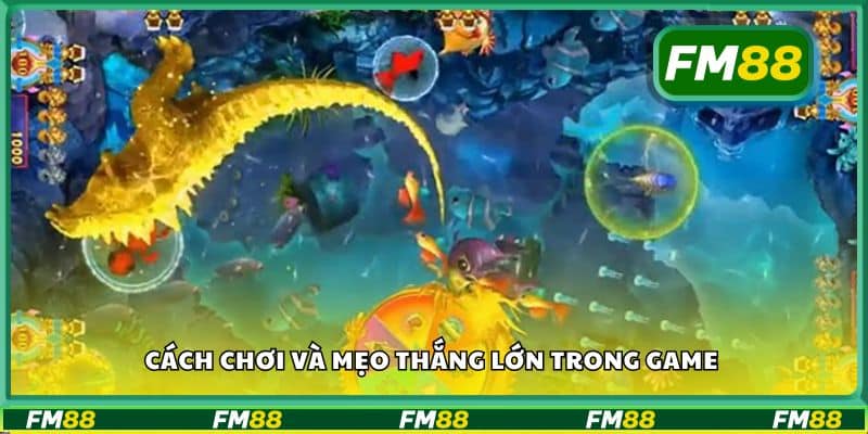 Cách chơi và mẹo thắng lớn trong game