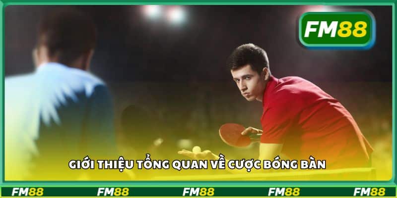 Chế độ chơi đa dạng thu hút người dùng