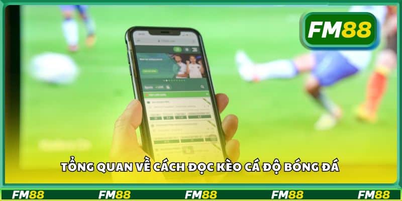 Tổng quan về cách đọc kèo cá độ bóng đá