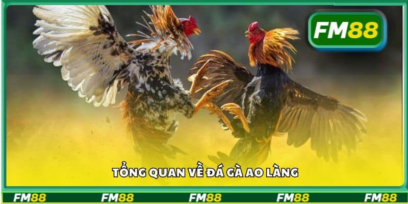 Tổng quan về đá gà ao làng
