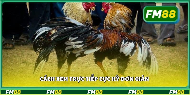 Cách xem trực tiếp cực kỳ đơn giản