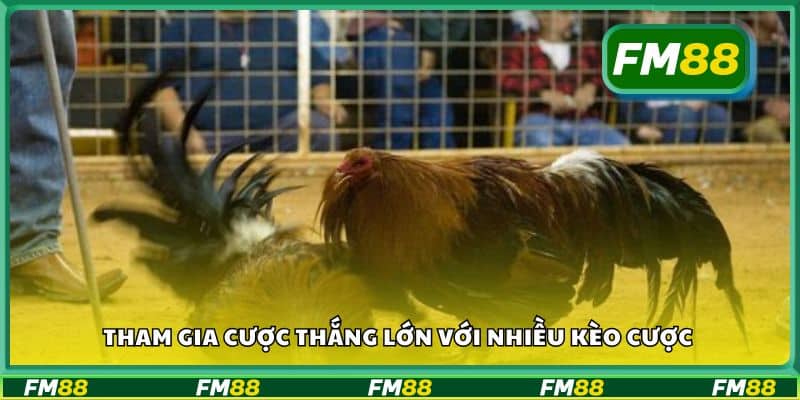 Tham gia cược thắng lớn với nhiều kèo cược