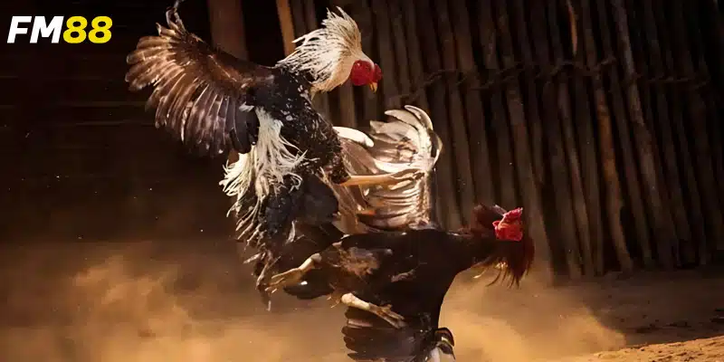 Từng bước để đạt được chiến thắng lớn