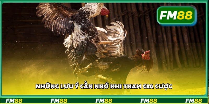 Những lưu ý cần nhớ khi tham gia cược