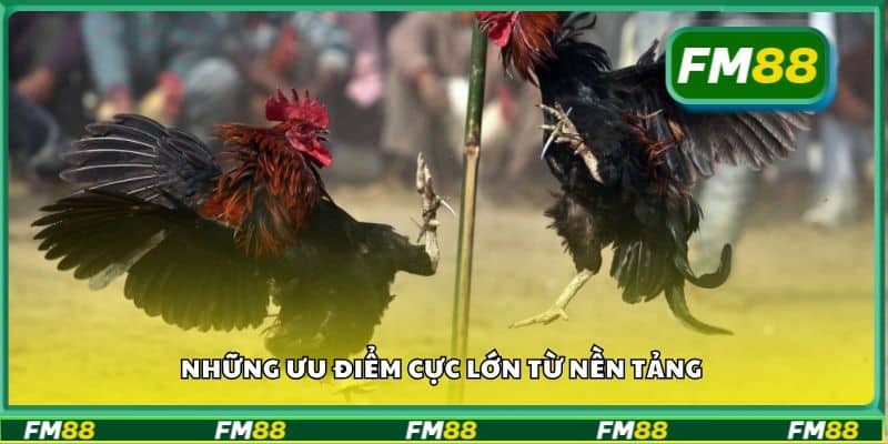 Những ưu điểm cực lớn từ nền tảng