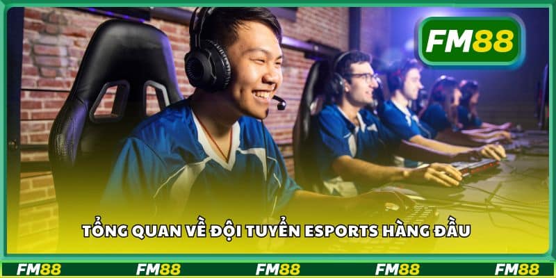 Tổng quan về đội tuyển eSports hàng đầu