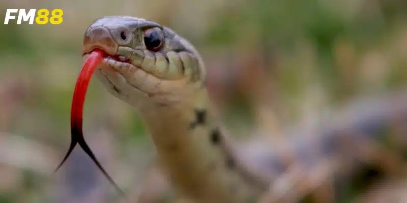 Dự đoán tài lộc với con số may mắn