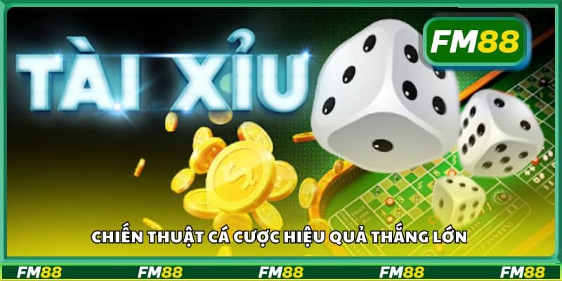 Chiến thuật cá cược hiệu quả thắng lớn