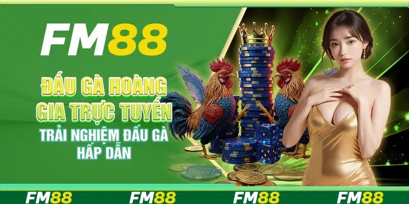 Đấu Gà Hoàng Gia trực tuyến tại FM88 - Trải nghiệm đấu gà hấp dẫn