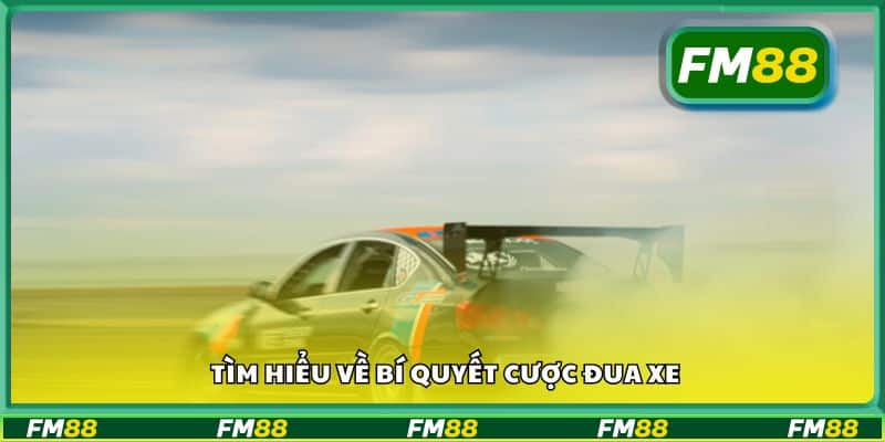 Tìm hiểu về bí quyết cược đua xe