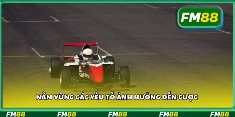 Nắm vững các yếu tố ảnh hưởng đến cược