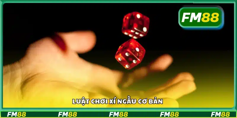 Hướng dẫn luật chơi cơ bản trong xí ngầu