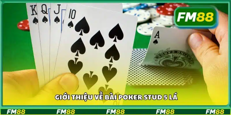 Giới thiệu về bài Poker Stud 5 lá
