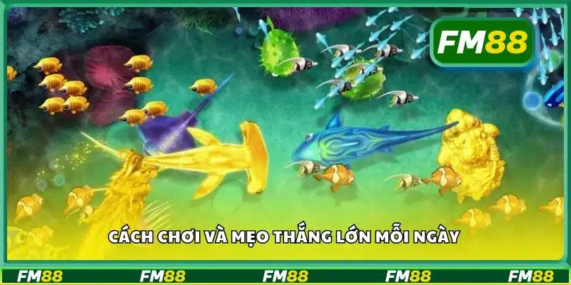 Cách chơi và mẹo thắng lớn mỗi ngày