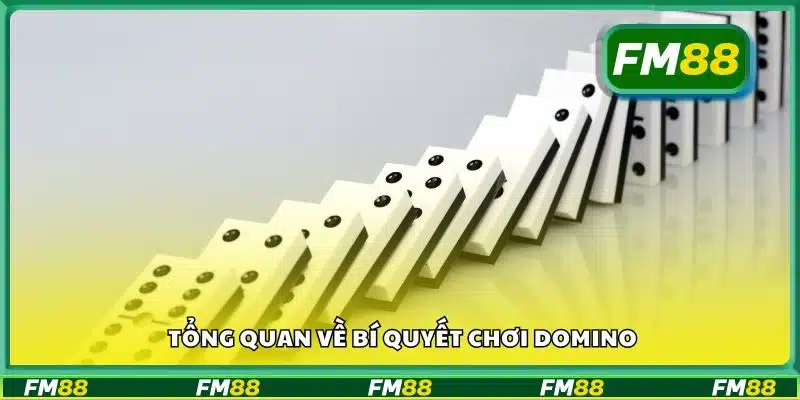 Tổng quan về bí quyết chơi domino