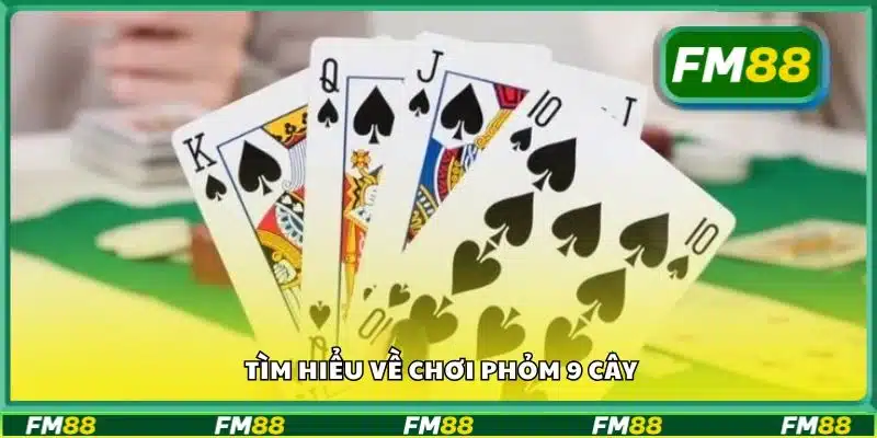 Tìm hiểu về chơi phỏm 9 cây