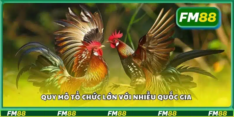 Quy mô tổ chức lớn với nhiều quốc gia