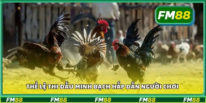 Thể lệ thi đấu minh bạch hấp dẫn người chơi