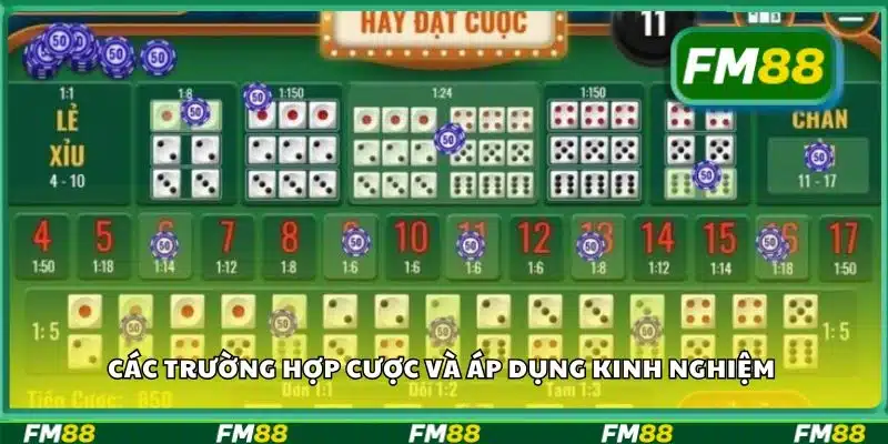 Các trường hợp cược và áp dụng kinh nghiệm