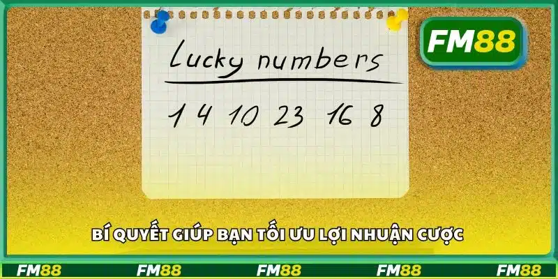 Bí quyết giúp bạn tối ưu lợi nhuận cược