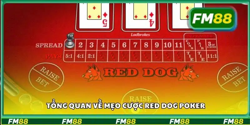 Tổng quan về mẹo cược Red Dog Poker