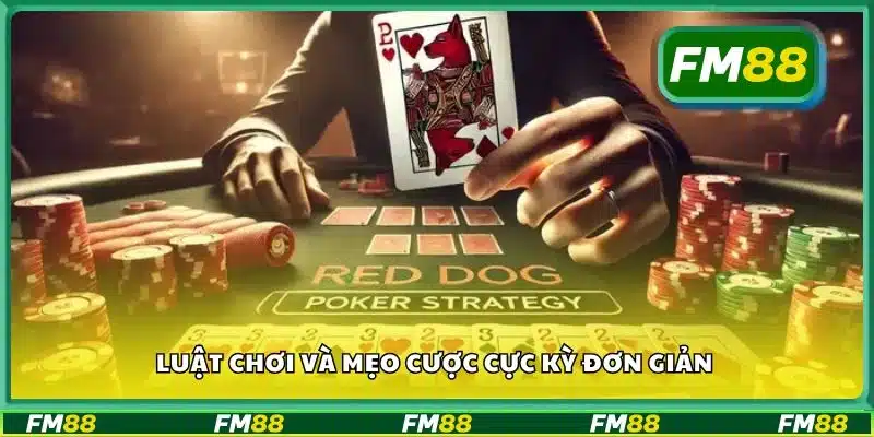 Luật chơi và mẹo cược cực kỳ đơn giản