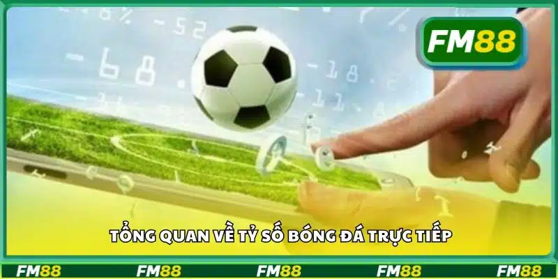 Tổng quan về tỷ số bóng đá trực tiếp