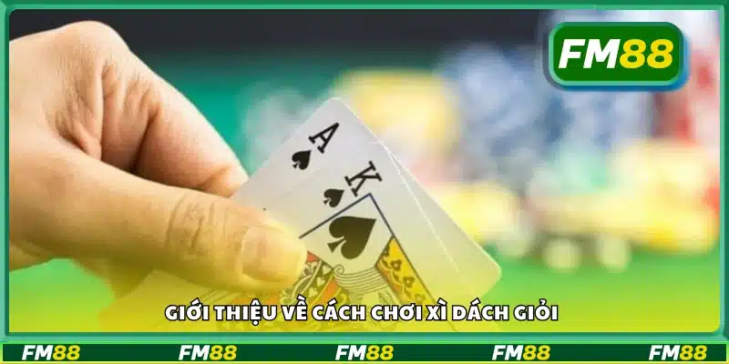 Khái quát phương pháp chơi Xì Dách như cao thủ
