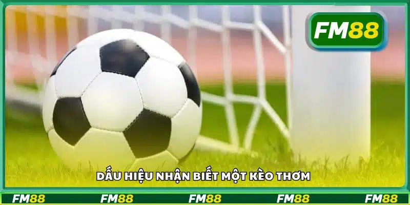 Những biểu hiện cho thấy đó là một kèo đáng đầu tư