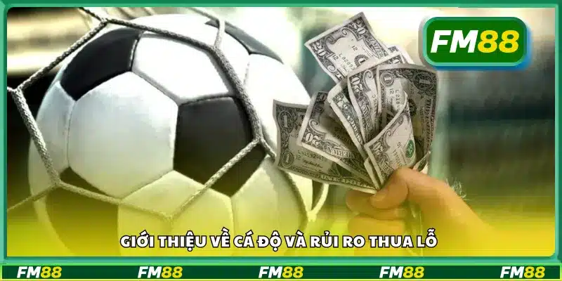 Tổng quan về cá độ và những nguy cơ có thể gặp