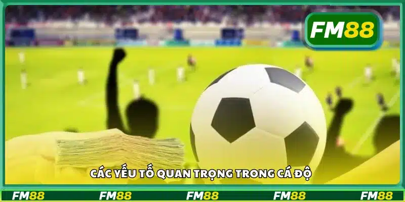 Những yếu tố then chốt ảnh hưởng đến kết quả cá cược