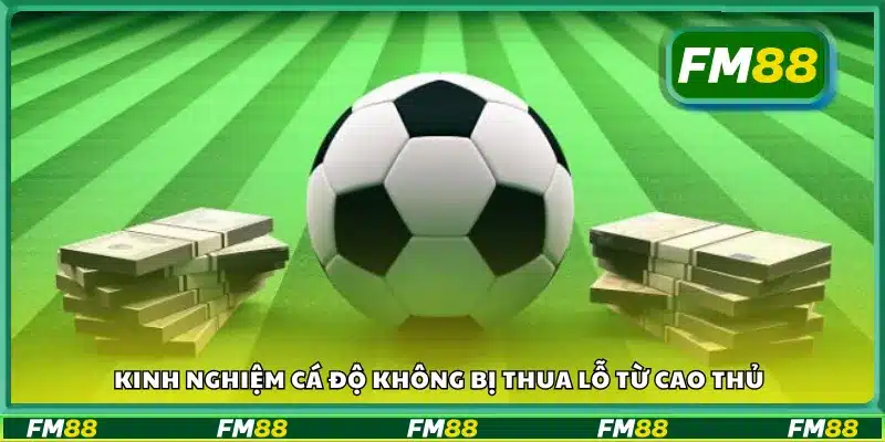 Kinh nghiệm cá độ không bị thua lỗ giúp bạn tránh trắng tay