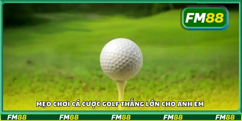 Mẹo chơi cá cược golf thắng lớn cho tân binh