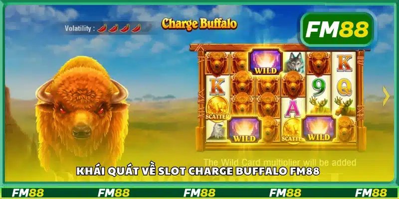 Giới thiệu về Slot Charge Buffalo FM88