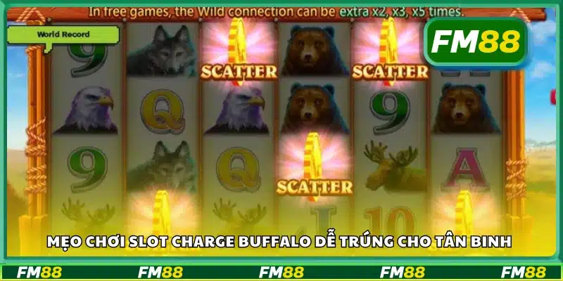 Mẹo chơi Slot Charge Buffalo dễ trúng cho tân binh