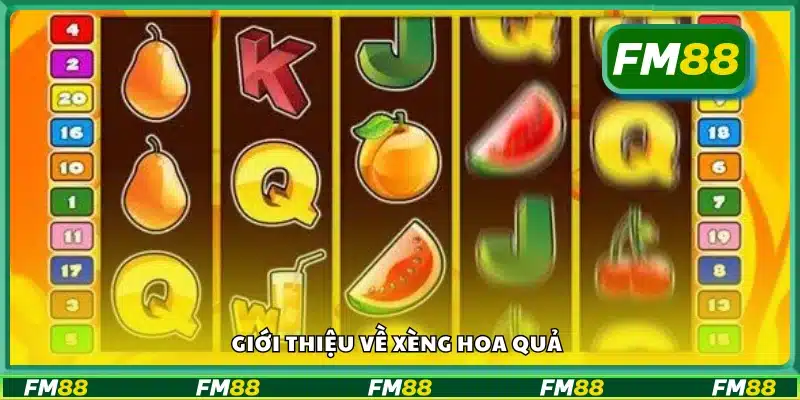 Giới thiệu về xèng hoa quả